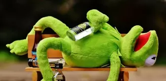 Kermit nedir? Kermit ne demek?