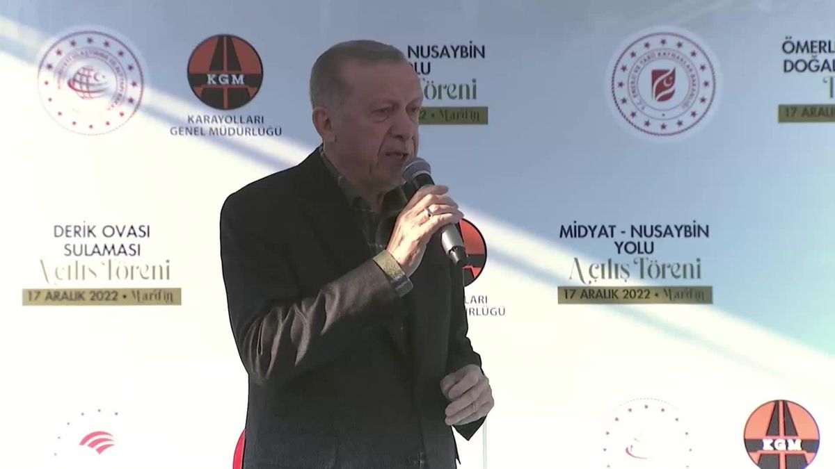 Erdoğan: 'Bizim de En Sert Şekilde Eleştirdiğimiz Pek Çok Mahkeme Kararı Olmuştur.
