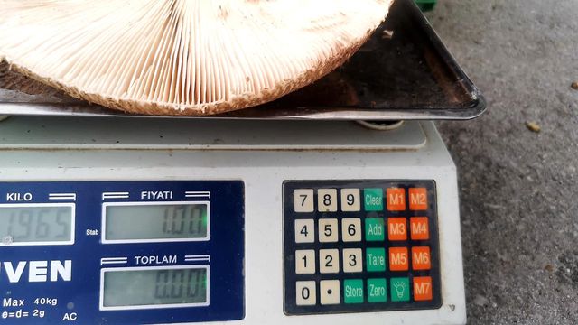 Kilosu 150 TL'yi geçen ürünü satan esnafın tezgaha bıraktığı fiyat listesine kimse inanamadı