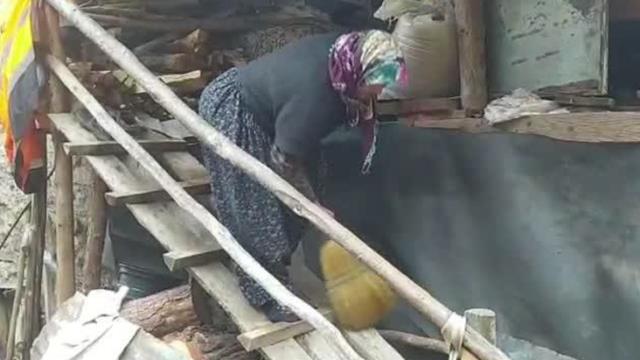 40 yıldır ormanda yaşayan çiftin 4 köpeği aynı anda kayboldu 40 yıldır ormanda yaşayan çiftin 4 köpeği aynı anda kayboldu