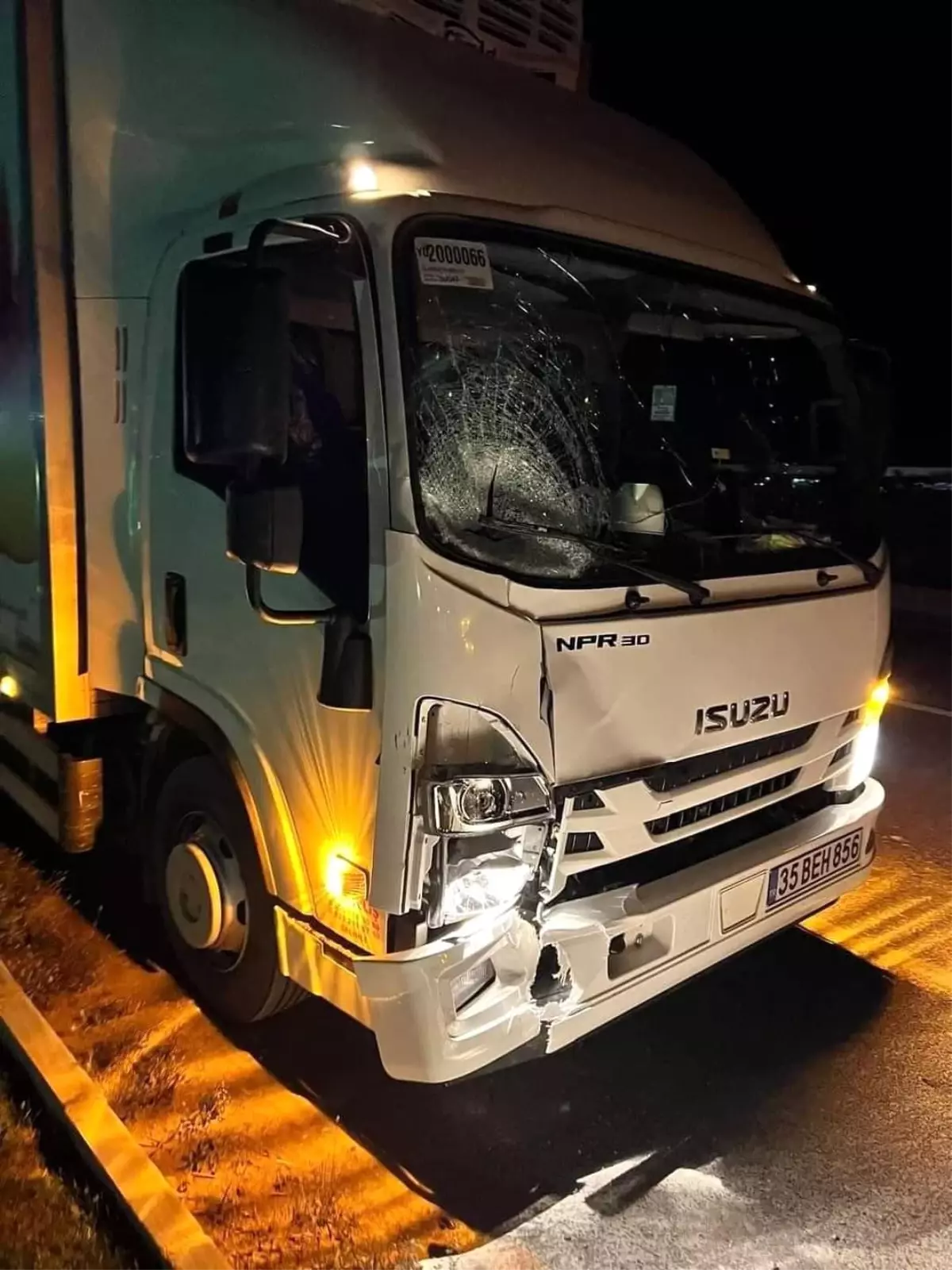 Muğla'da kamyonetin çarptığı vatandaş hayatını kaybetti