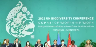 Cop15 Başkanı: Çin, BM Biyolojik Çeşitlilik Anlaşmasının Uygulanmasını Kolaylaştıracak
