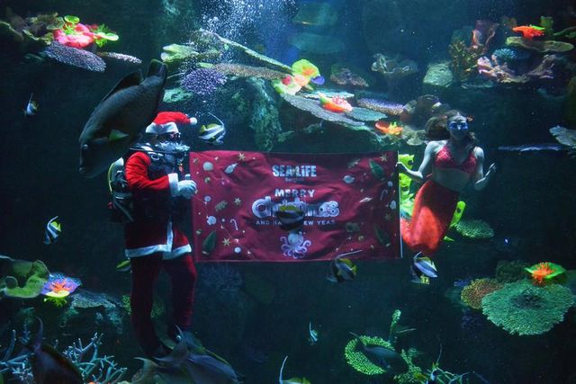 Tayland'da Su Altında Noel Baba Gösterisi Düzenlendi