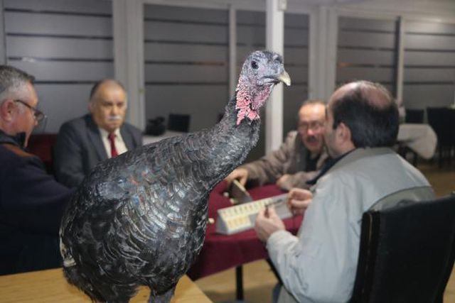 Arkadaşlar okey masasına oturdu! Masanın 5'ncisini görenler anlam vermekte zorlandı
