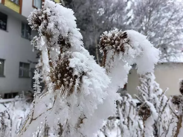 Ardahan eksi 14,8 ile dondu