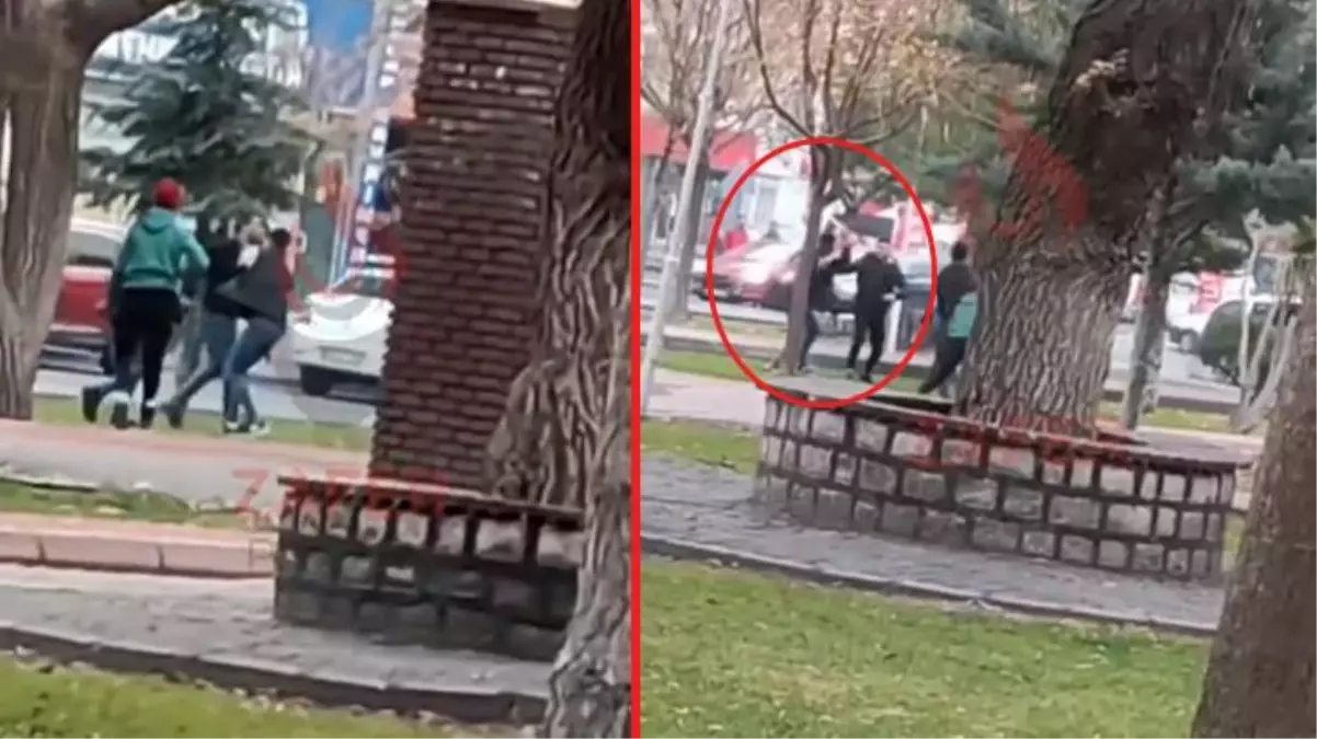 Yer: Türkiye! Kılıçlarla parkın ortasında birbirlerine girdiler