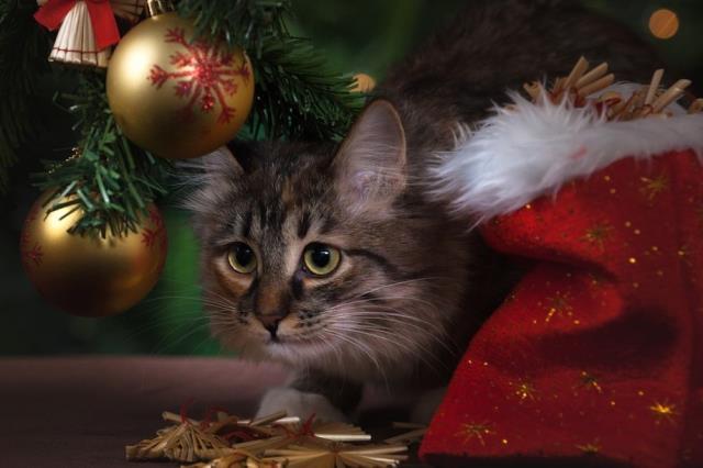 2023 Yeni yıl mesajları en güzel yeni yıl sözleri! 2023 Yılbaşı mesajları! Yılbaşı hakkında en güzel sözler ve mesajlar!