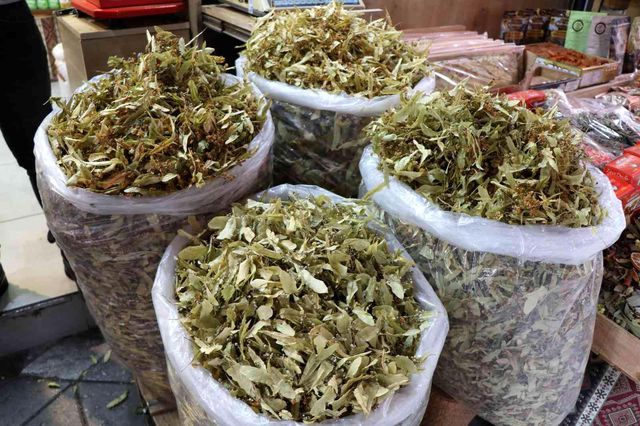 Şifa deposu olarak bilinen ıhlamurun fiyatı 2 katına çıktı Şifa deposu olarak bilinen ıhlamurun fiyatı 2 katına çıktı