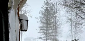 ABD Medyası: Kar Fırtınası Buffalo'da Irksal ve Sınıfsal Ayrımları Körükledi