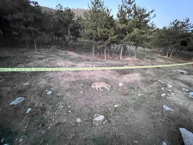 Tüfekle vurulmuş 4 köpek ölüsü bulundu