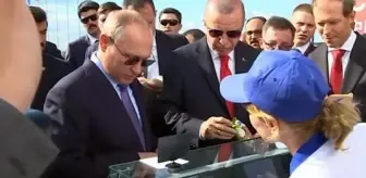 Bu karenin gizemi 4 yıl sonra ortaya çıktı! Erdoğan'a dondurma veren kadın meğer sıradan biri değilmiş