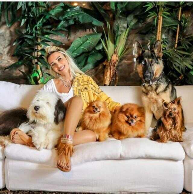 Köpeğini tedavi ettiren Seren Serengil, ödediği ücretlere sitem etti