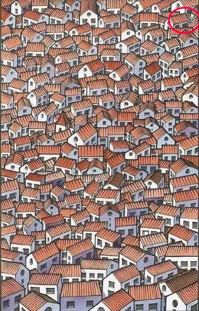 Resimdeki kediyi bulmak neredeyse imkansız! Bulanlar dikkati takdir ediliyor Resimdeki kediyi bulmak neredeyse imkansız! Bulanlar dikkati takdir ediliyor