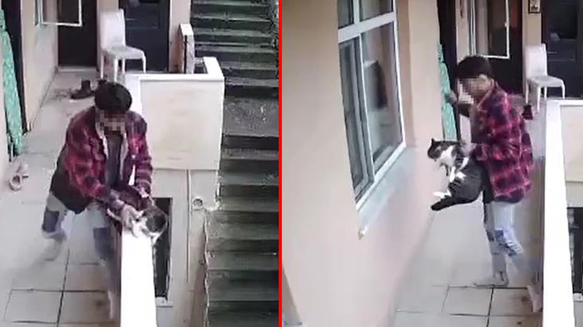 Kocaeli'de evden kaçan kediyi acımasızca yumrukladı, o anlar kamerada