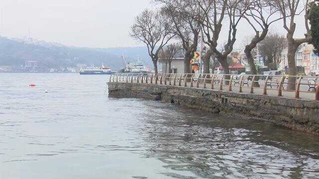 Boğaz'da denizanası yoğunluğu; balık stoklarında azalmaya sebep oluyor