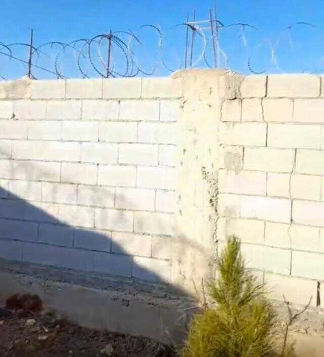 Evin köpeğinin kafasını kesip götürdüler!