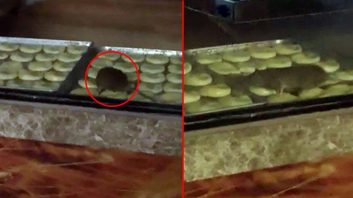 Fırında mide bulandıran görüntüler! Yiyeceklerin üzerinde fare gezdi