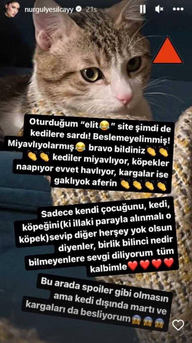 Nurgül Yeşilçay, sokak kedilerini beslemesine karşı çıkan komşularıyla kavga etti