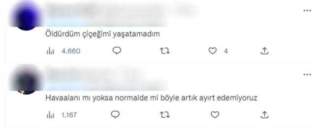 Sosyal medyayı sallayan fotoğraf! Etikette yazan fiyata kimse inanamadı: Bu simidi sadece Hülya Avşar yiyebilir