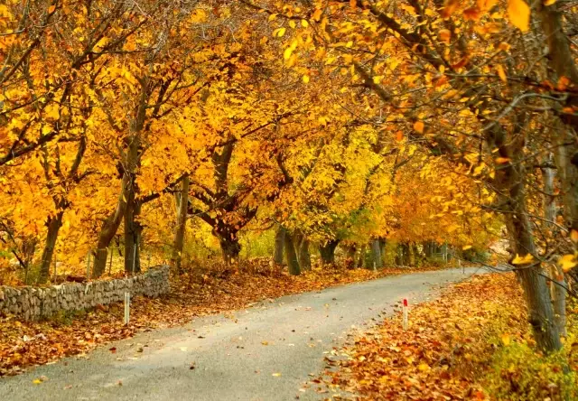 Cumhurbaşkanı karayolu sözü verdi ilçede turizm için hazırlıklar hızla devam ediyor Cumhurbaşkanı karayolu sözü verdi ilçede turizm için hazırlıklar hızla devam ediyor