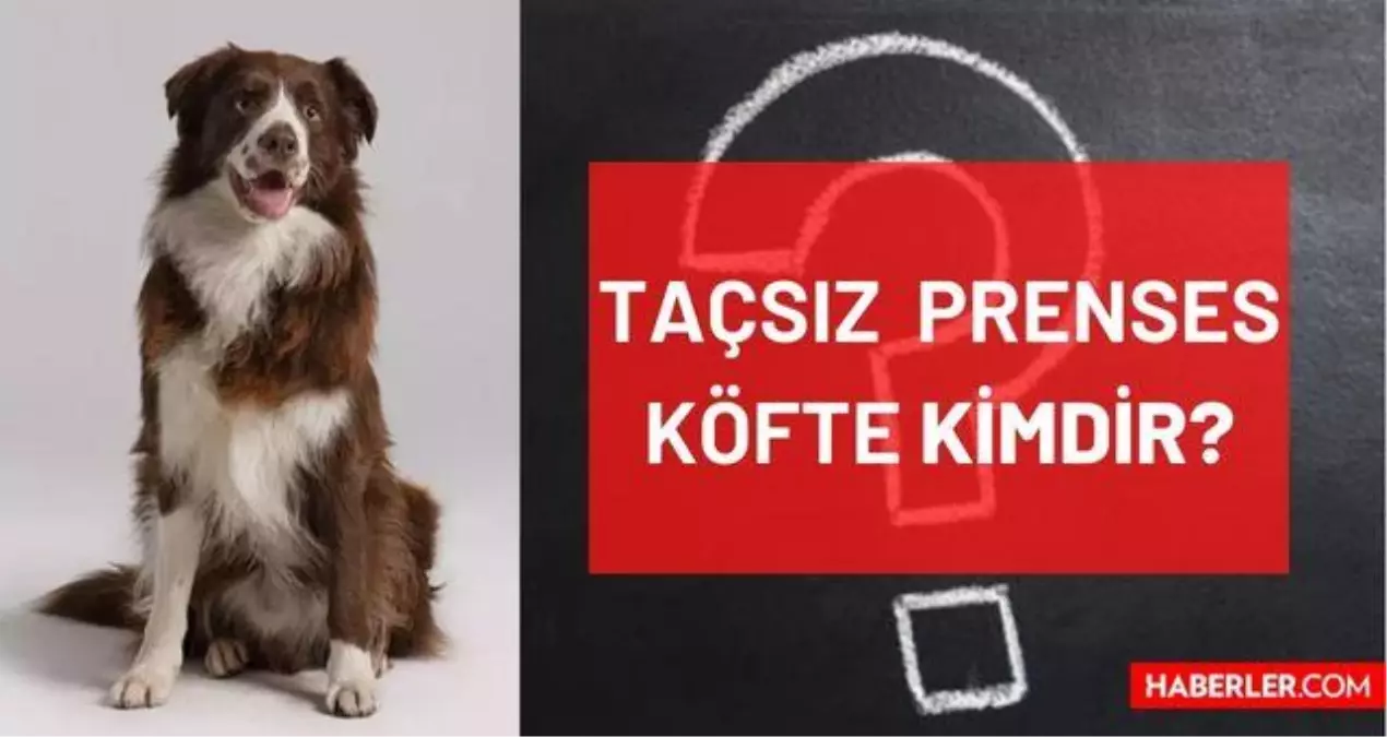 Taçsız Prenses dizisindeki köpek kimdir, hangi ırk, cinsi ne? Taçsız Prenses Köfte kimdir, ırkı ne? Dizideki Köfte kimin köpeğidir?