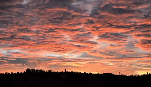 Hırvatistan, Çinli Yolculara Kısıtlayıcı Kovid Önlemleri Uygulamayacak Hırvatistan, Çinli Yolculara Kısıtlayıcı Kovid Önlemleri Uygulamayacak