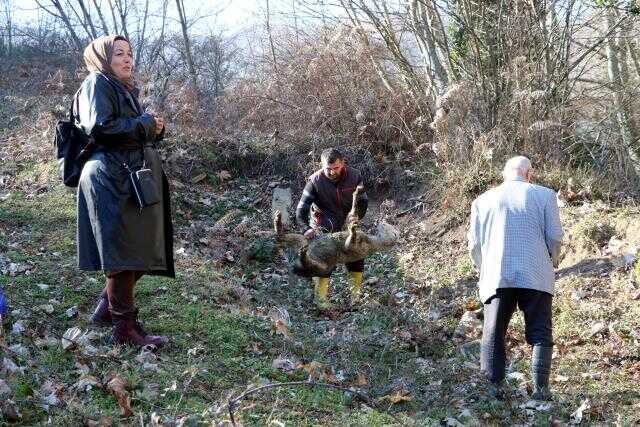 Rüyasında gördü, kurban kesip kazılara başladı! Doğru çıkarsa turnayı gözünden vuracak