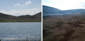 Türkiye'deki kuraklığı en iyi anlatan fotoğraf! Bölgeye hayat veren göl yok oldu