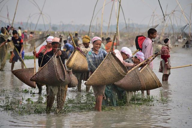 Hindistan'ın Assam Eyaletinde Bhogali Bihu Festivali İçin Toplu Halde Balık Tutuldu