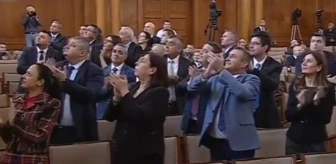Görüntü Avrupa ülkesinde çekildi! Türk heyeti Meclis'e girince milletvekilleri dakikalarca ayakta alkışladı