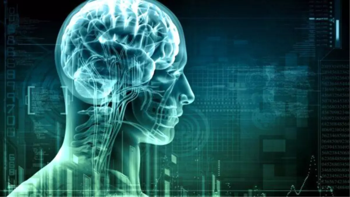 Dünyanın en kısa IQ testi! Üç soru ile zekanızı ölçün