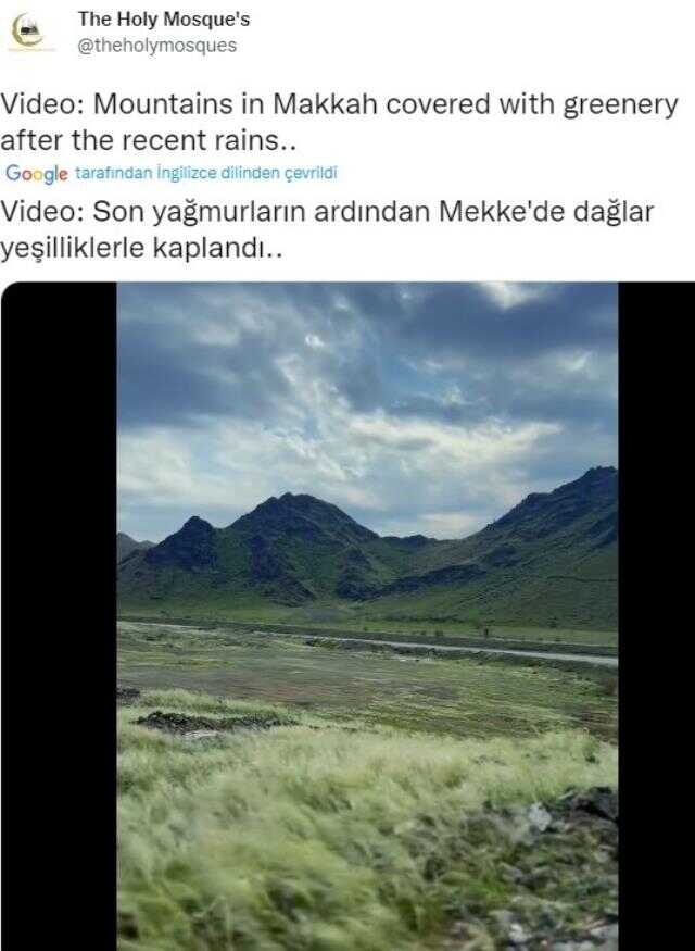Yağıştan dolayı Mekke ve Medine'nin dağlarının yeşile döndüğü iddiası doğru