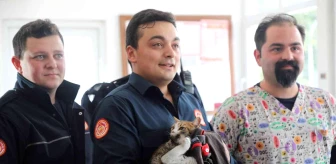 İtfaiye ekipleri kurtardıkları kediyi sahiplendi