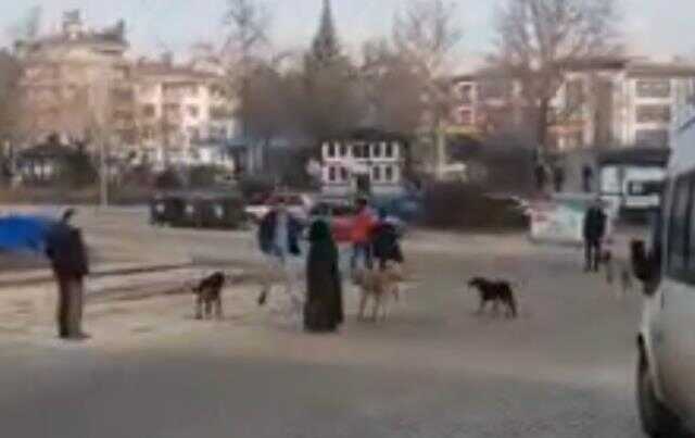 Dershaneye giderken sahipsiz köpeklerin saldırdığı kız öğrenciyi mahalleli kurtardı