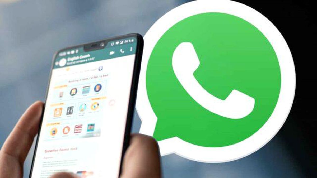 WhatsApp tikleri ve anlamları [2022]