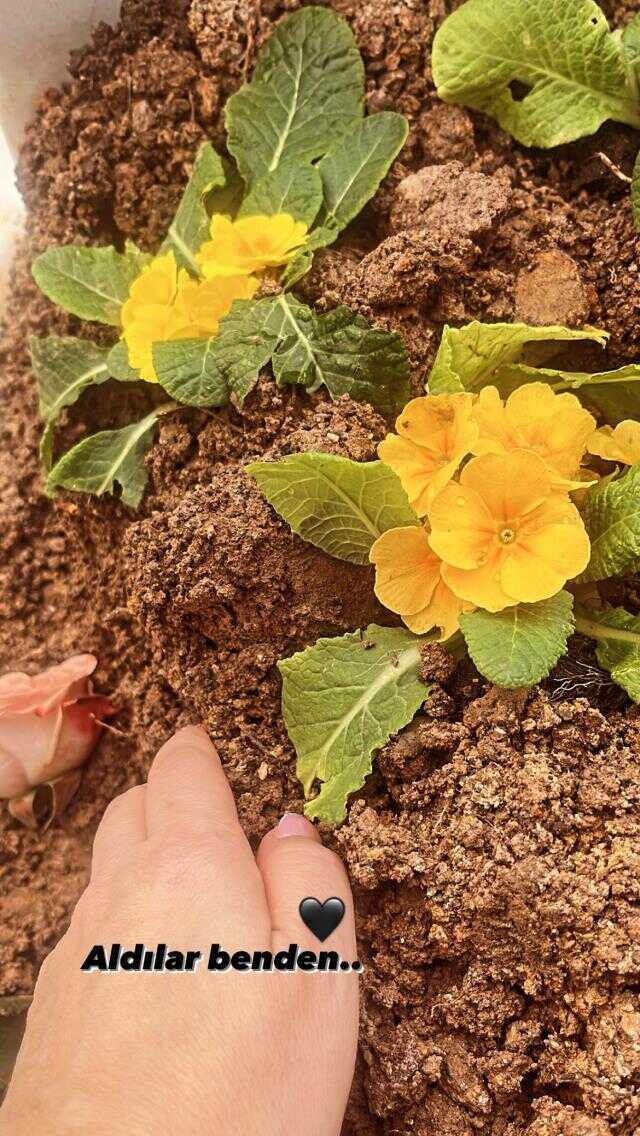 Elif Karlı, cezaevinde ölen eşinin toprağı kurumamış mezarını paylaştı: Aldılar benden