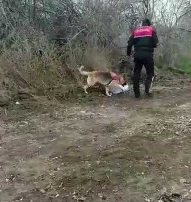 10 gündür kayıptı, elbiseleri ve kemik parçaları bulundu
