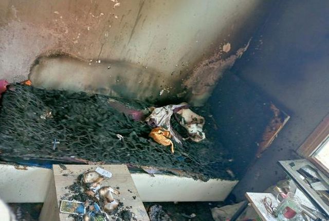 Büşra'nın cinayet sanığı, internette 'tecavüz' ve 'insan yakma sonrası otopsi'yi araştırmış Büşra'nın cinayet sanığı, internette 'tecavüz' ve 'insan yakma sonrası otopsi'yi araştırmış