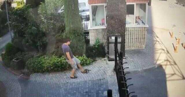 Küçükçekmece'deki kedi düşmanı yine sahnede! Dakikalarca tekme ve yumrukla darbetti