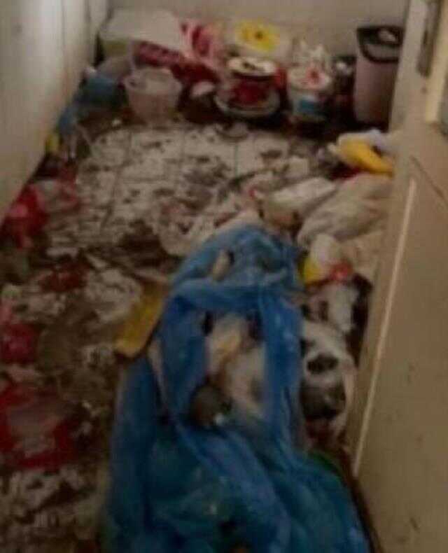 3 çocuk çöp evde çıplak halde bulundu! Anne evi terk etmiş, baba ilgilenmemiş