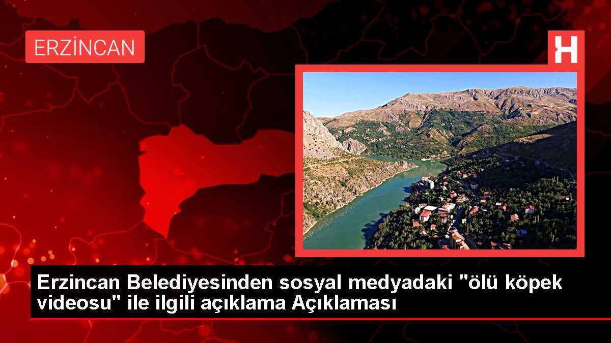 Erzincan Belediyesinden sosyal medyadaki 'ölü köpek videosu' ile ilgili açıklama Açıklaması