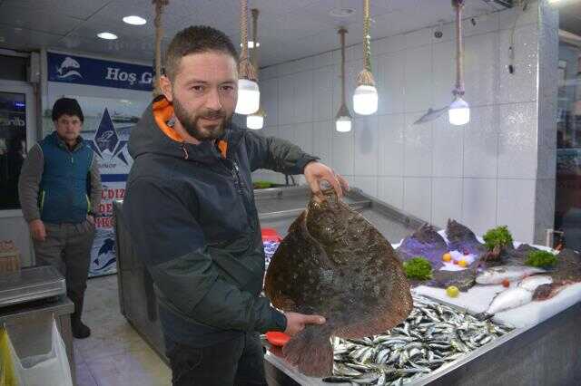 Kalkan balığının kilosu 750 liraya kadar çıktı, vatandaş dert yandı: Evimizde eksik olmazdı, şimdi anca tezgahta görüyoruz