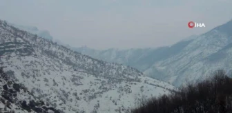 Şırnak'ta kapanan köy yolları tekrar ulaşıma açıldı