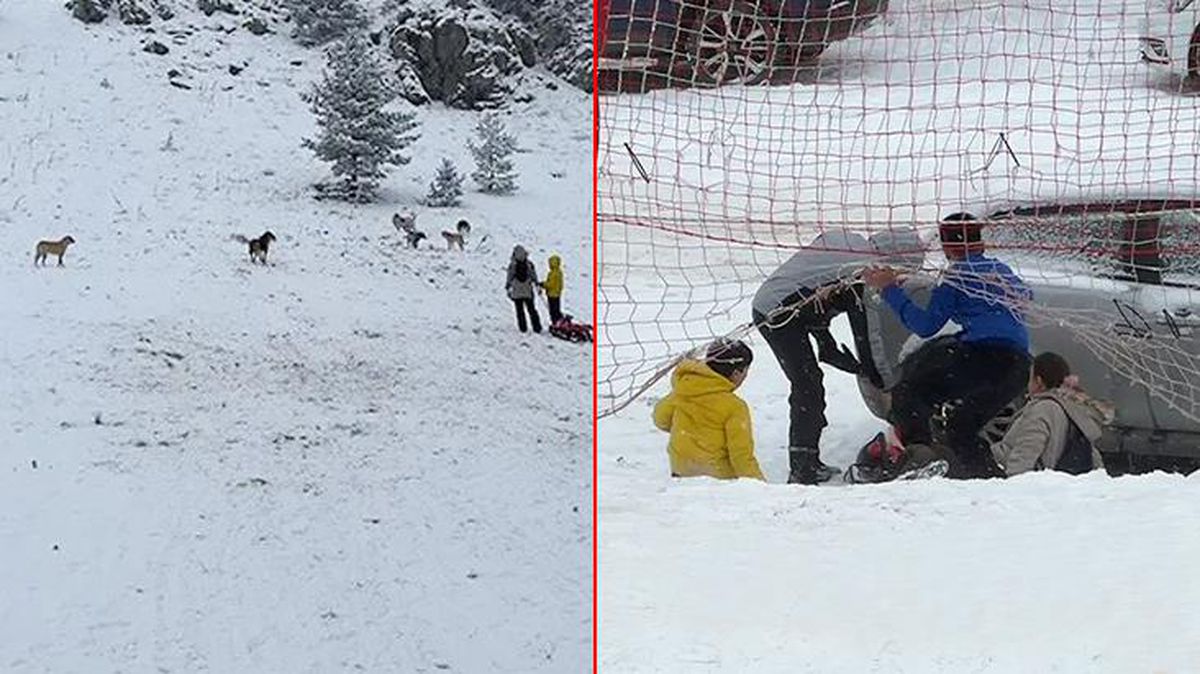 Sokak köpekleri Kartalkaya'da kayak yapan turistlere saldırdı! Önce bariyere sonra araca çarptılar