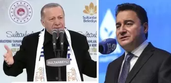 Cumhurbaşkanı Erdoğan'dan Babacan'a sert sözler: Bunlar bizim yanımızda adam gibi yürüdüler sonra kayboldular