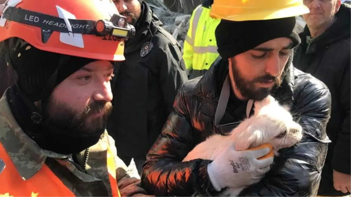 Enkaz altındaki kadın, köpeğinin havlaması sayesinde depremden 103 saat sonra kurtarıldı