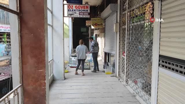 Depremde petshopta mahsur kalan kuşlar kurtarıldı