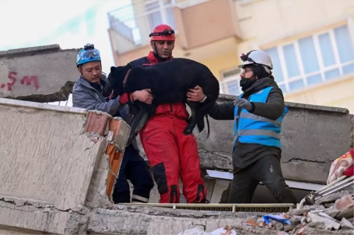 14 Şubat Kahramanmaraş depremde kaç kişi öldü, kaç yaralı var? Kahramanmaraş depreminde kaç bina 14 Şubat Kahramanmaraş depremde kaç kişi öldü, kaç yaralı var? Kahramanmaraş depreminde kaç bina