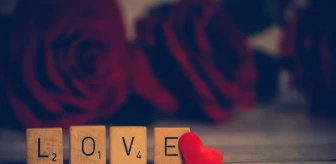 Aşk sözleri ve mesajları 2023: En güzel 14 Şubat sözleri ve mesajları nelerdir? En etkileyici, duygusal, sevgi dolu aşk sözleri!