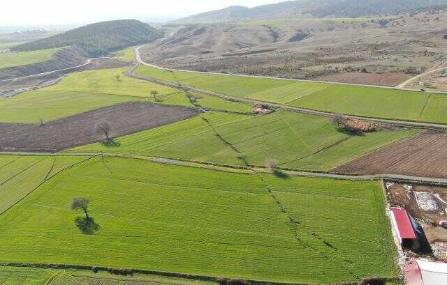 Binaları yıkan deprem doğaya da zarar verdi: Derelerde sular çekildi, dağlar yarıldı
